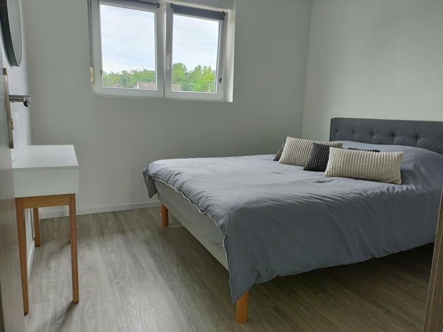 Appartement Entier F3 Renove - Petite Pause A Селеста Екстер'єр фото